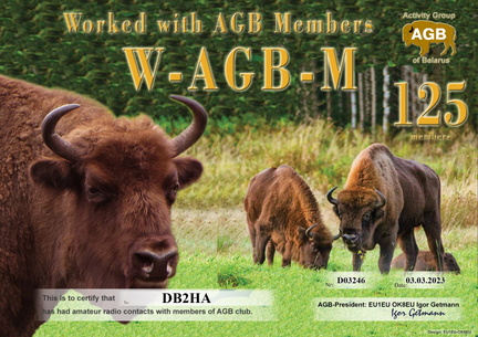 DB2HA-WAGBM-125 AGB