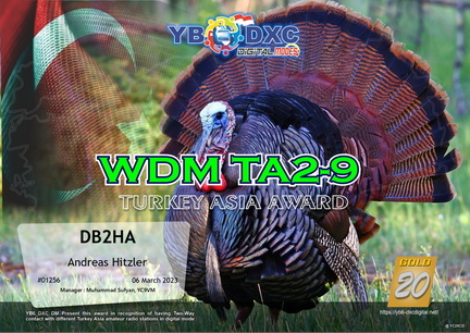DB2HA-WDMTAA-GOLD YB6DXC